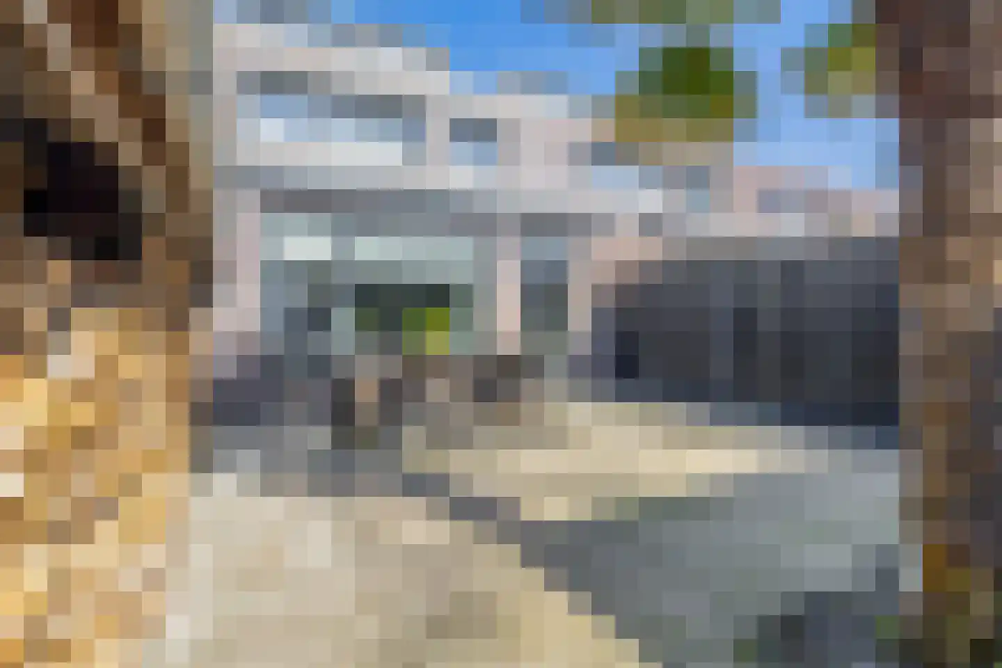 Tamis Weer 25 Assendelft thumbnail 15