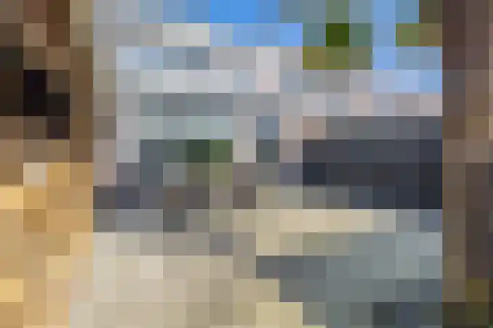 Tamis Weer 25 Assendelft thumbnail 16