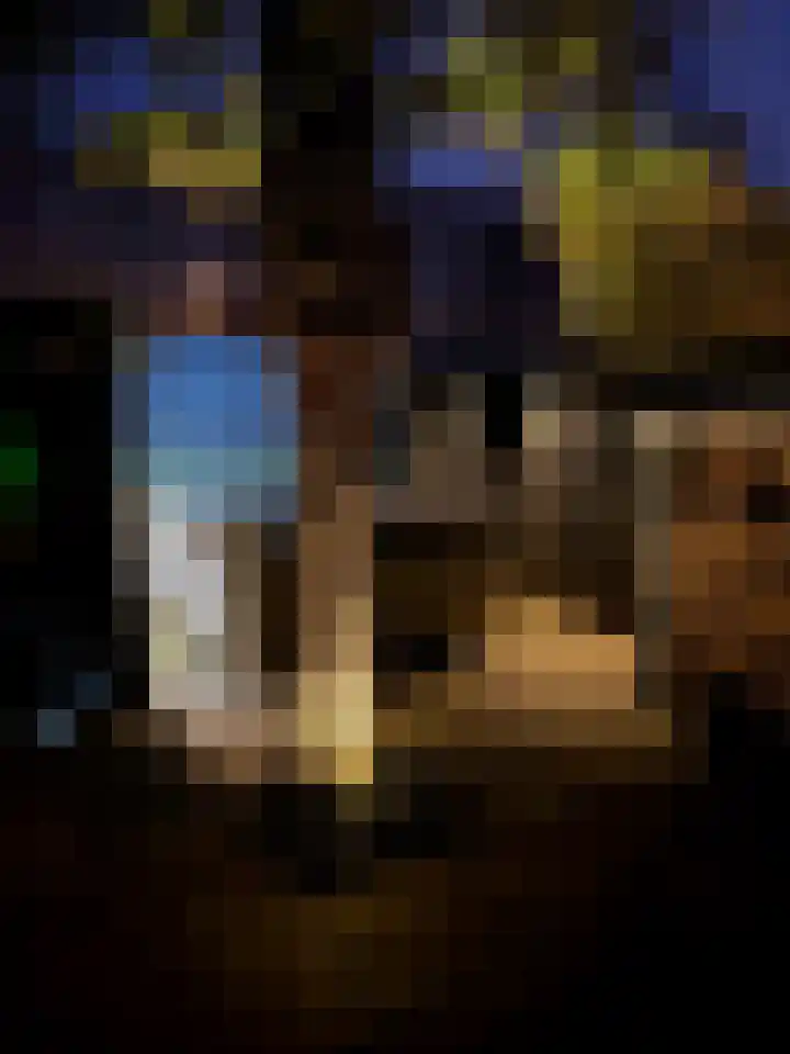 Tamis Weer 25 Assendelft thumbnail 17