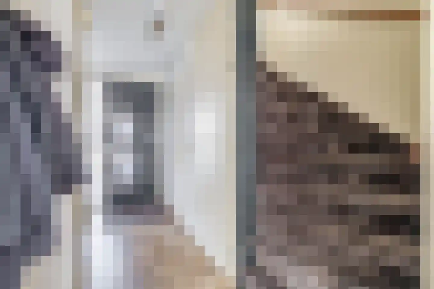 Tamis Weer 25 Assendelft thumbnail 19