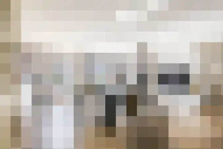 Tamis Weer 25 Assendelft foto 2