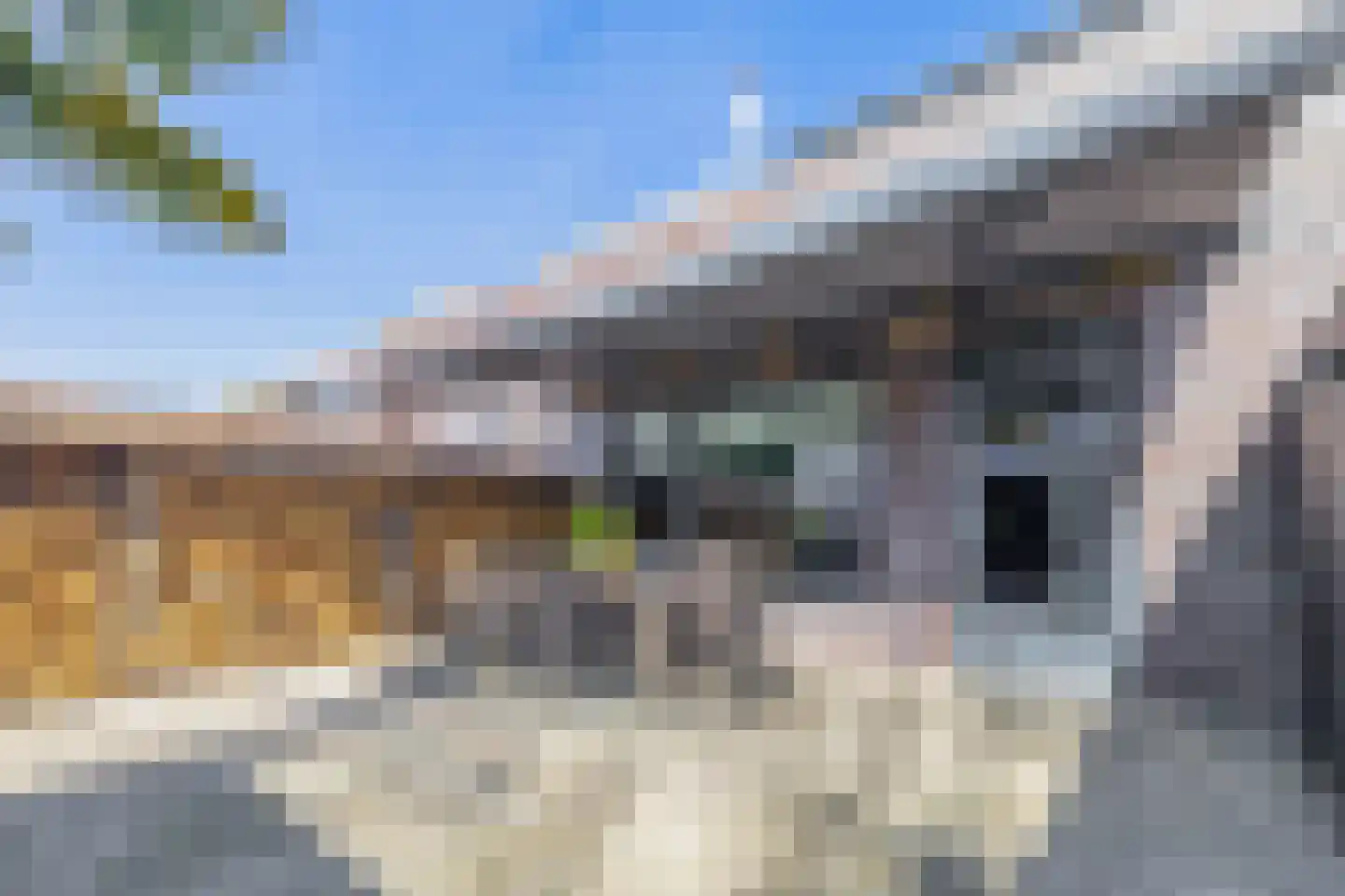 Tamis Weer 25 Assendelft thumbnail 20