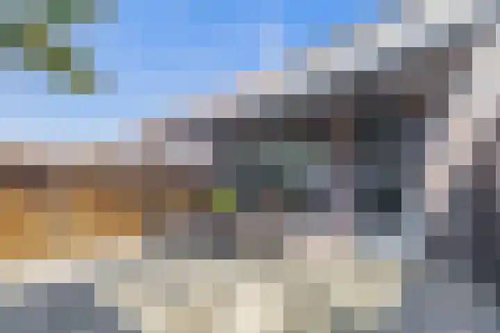 Tamis Weer 25 Assendelft thumbnail 21