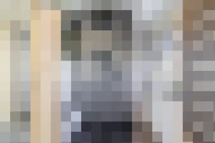 Tamis Weer 25 Assendelft thumbnail 24