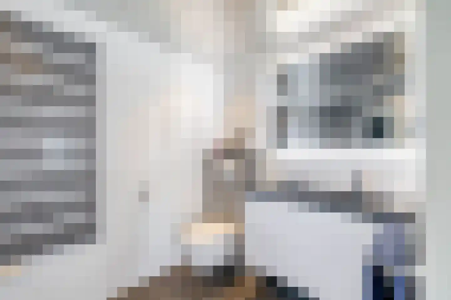 Tamis Weer 25 Assendelft thumbnail 26