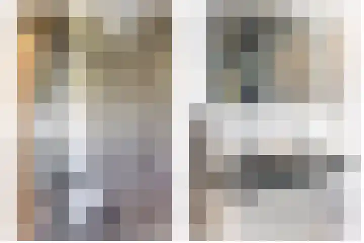 Tamis Weer 25 Assendelft thumbnail 26