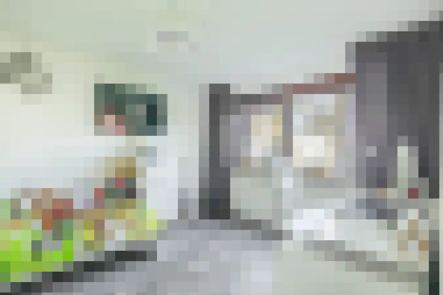 Tamis Weer 25 Assendelft thumbnail 29