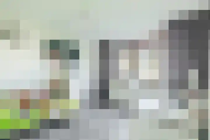 Tamis Weer 25 Assendelft thumbnail 30