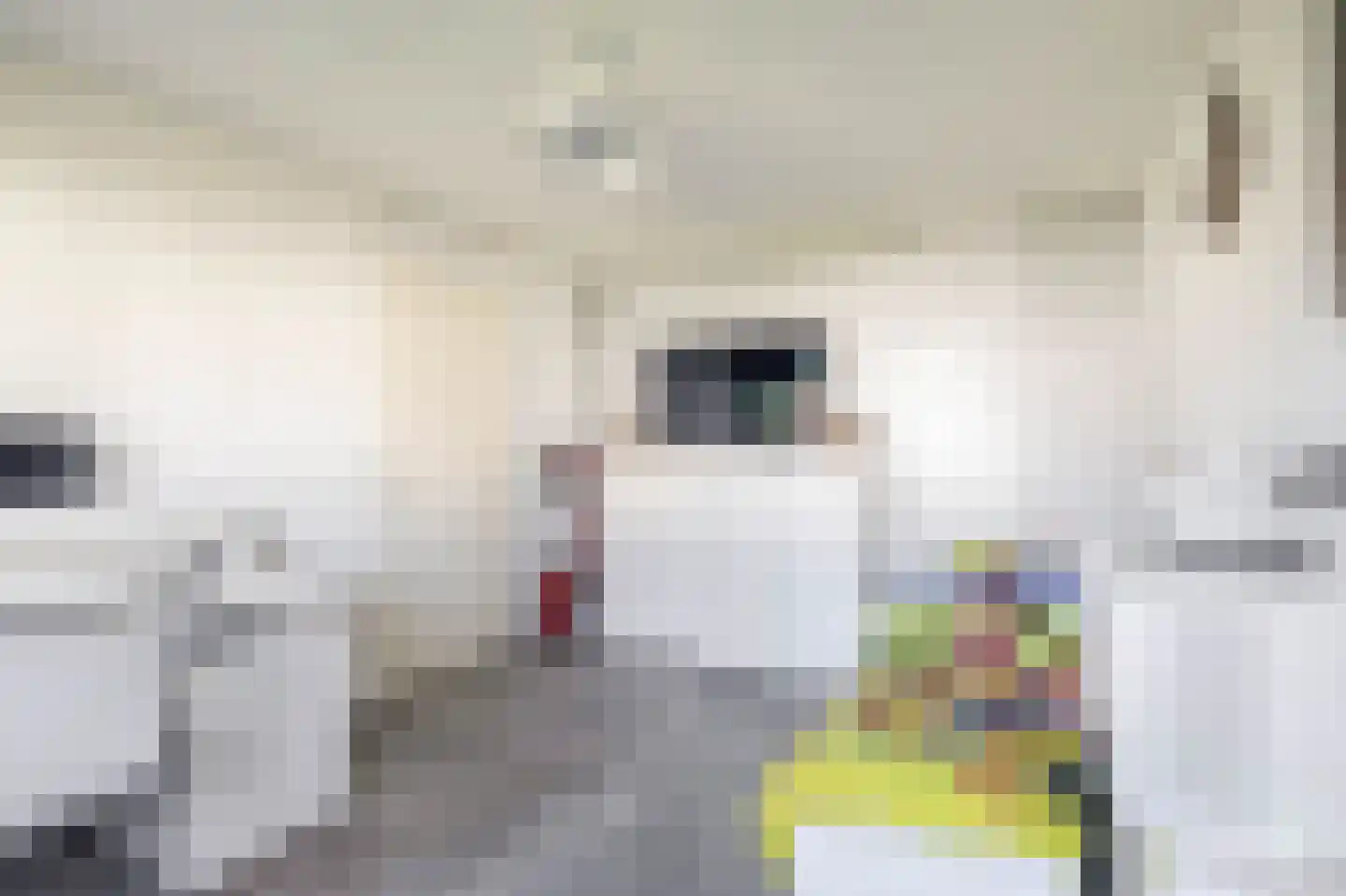 Tamis Weer 25 Assendelft thumbnail 30