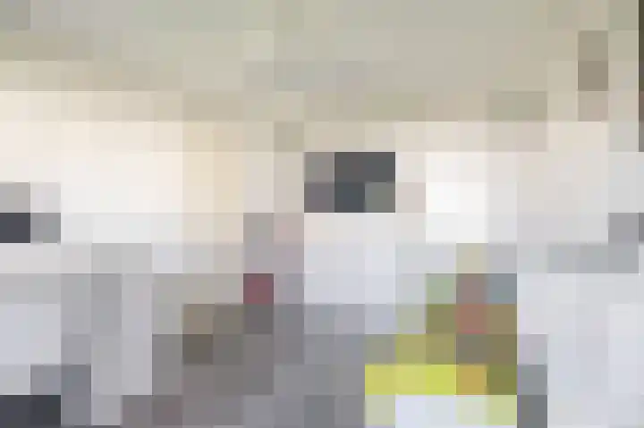 Tamis Weer 25 Assendelft thumbnail 31