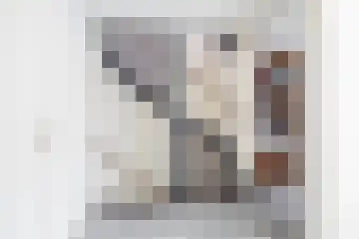 Tamis Weer 25 Assendelft thumbnail 33