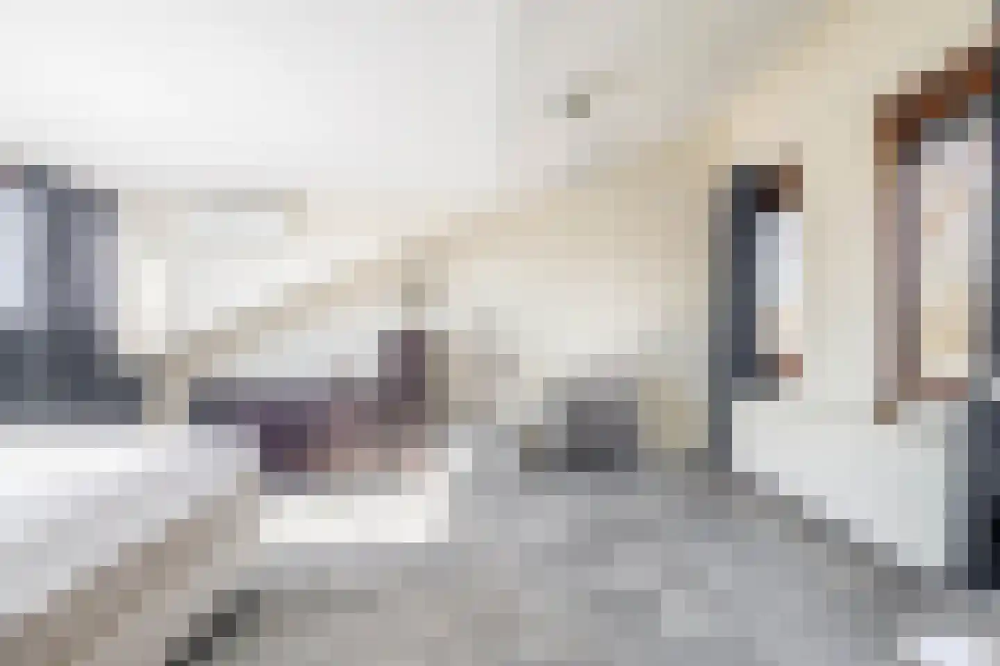 Tamis Weer 25 Assendelft thumbnail 36