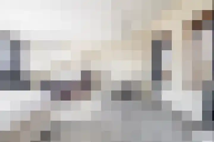 Tamis Weer 25 Assendelft thumbnail 37