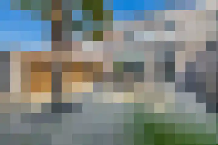 Tamis Weer 25 Assendelft thumbnail 4