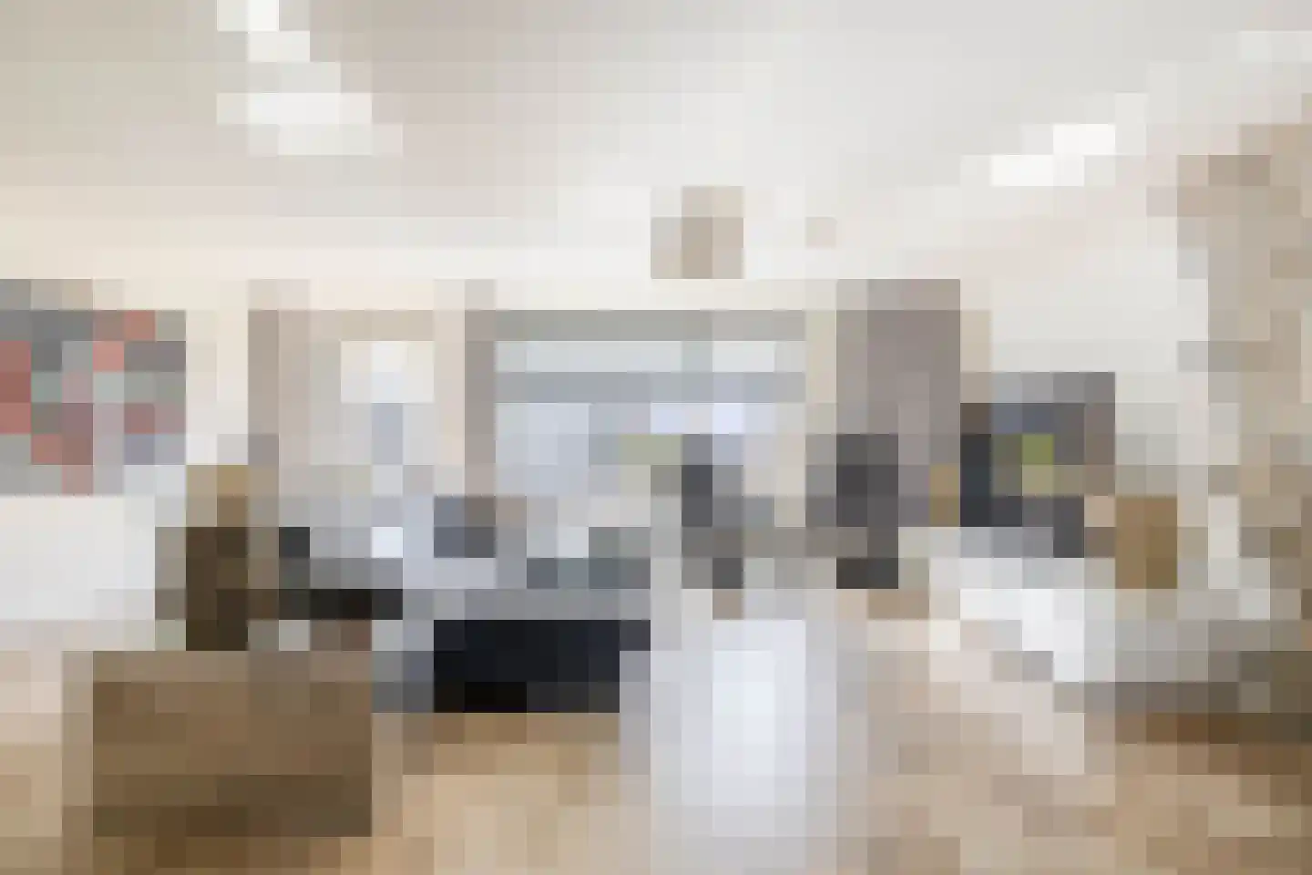 Tamis Weer 25 Assendelft thumbnail 4