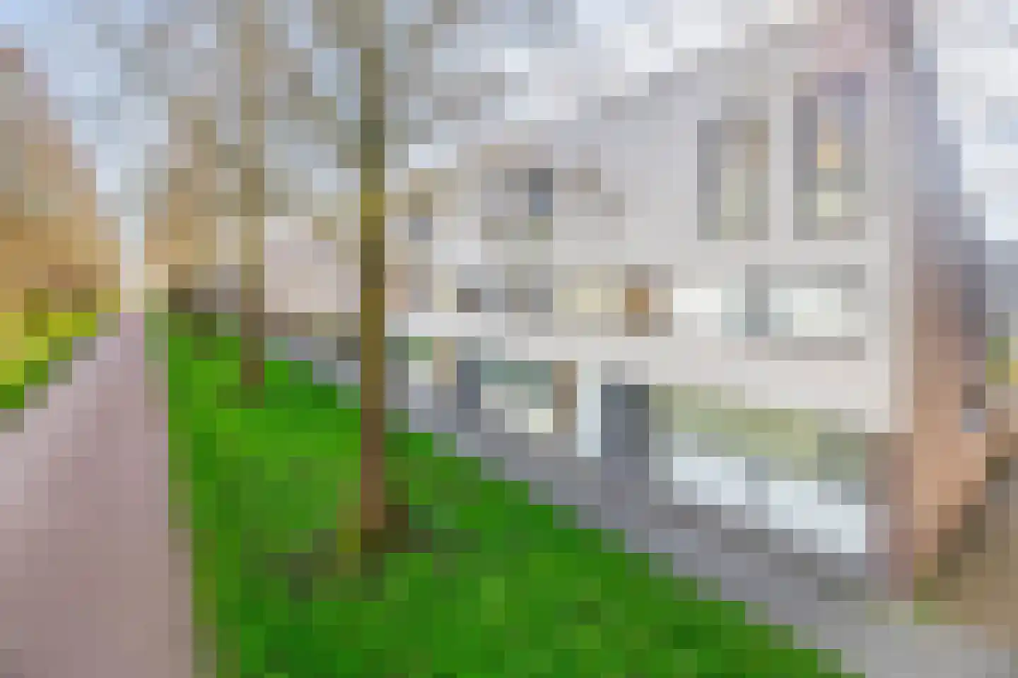 Tamis Weer 25 Assendelft thumbnail 43