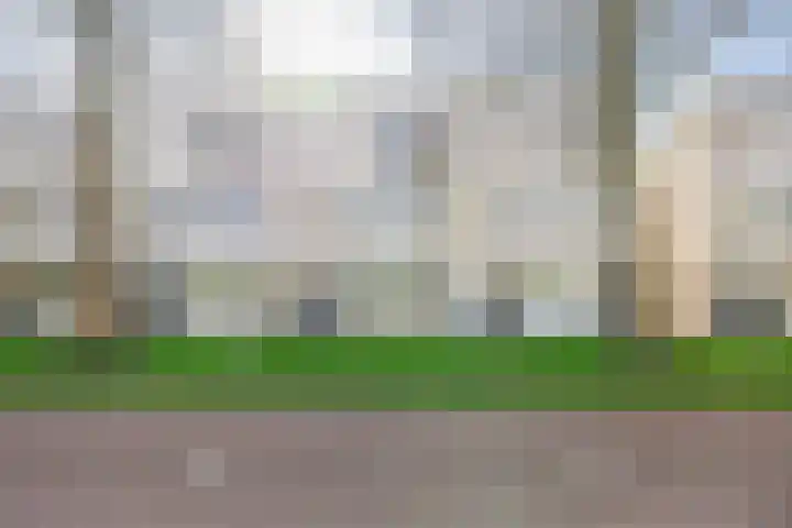 Tamis Weer 25 Assendelft thumbnail 44