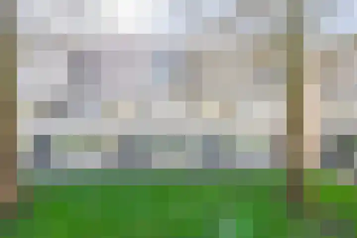 Tamis Weer 25 Assendelft thumbnail 45