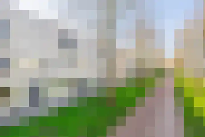 Tamis Weer 25 Assendelft thumbnail 47