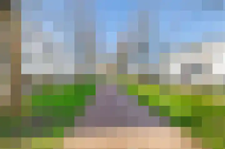 Tamis Weer 25 Assendelft thumbnail 48