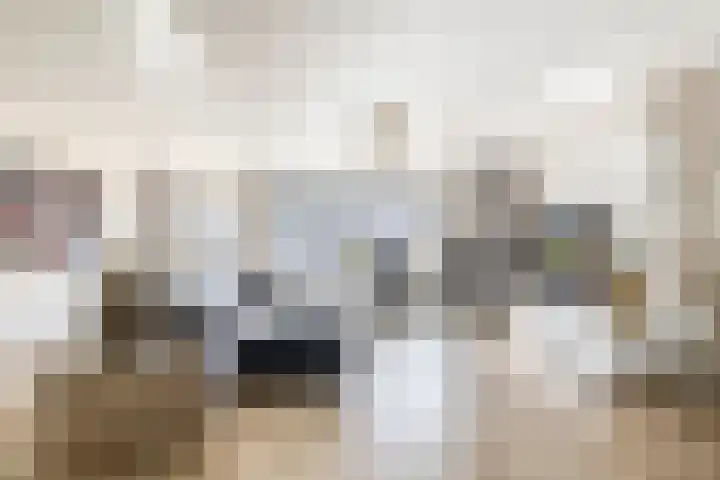 Tamis Weer 25 Assendelft thumbnail 5