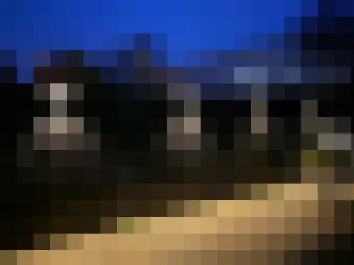 Tamis Weer 25 Assendelft thumbnail 54