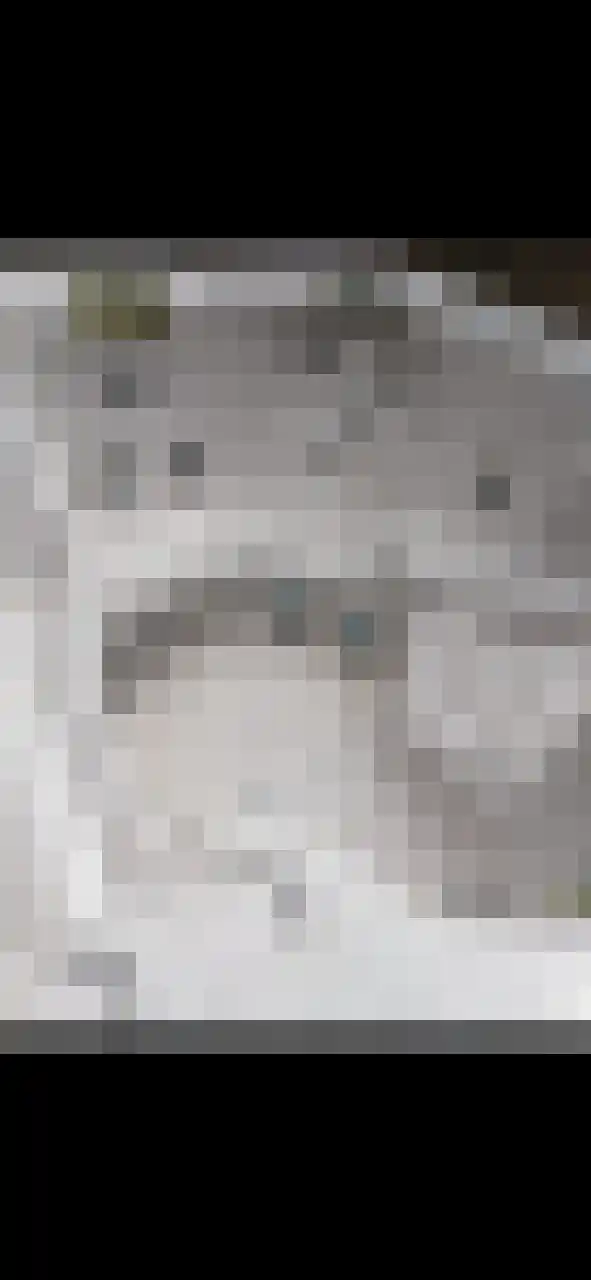 Tamis Weer 25 Assendelft thumbnail 57