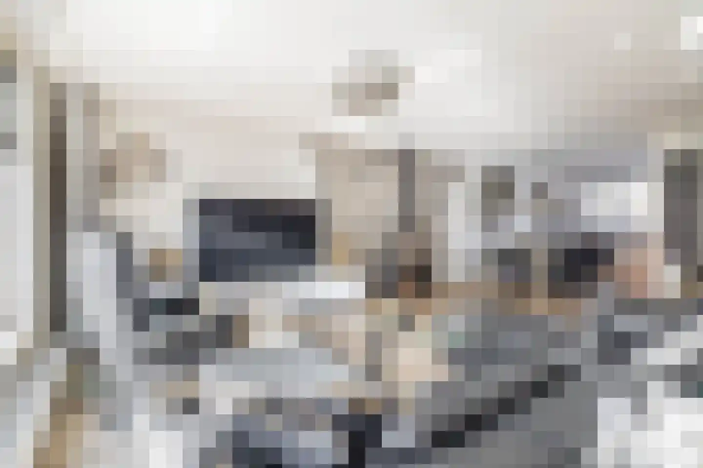 Tamis Weer 25 Assendelft thumbnail 6