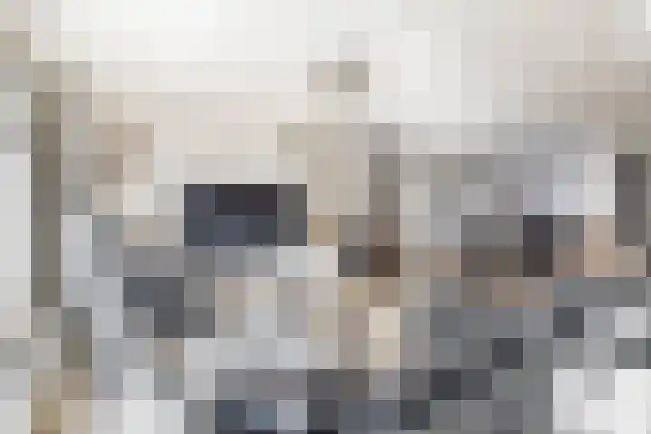 Tamis Weer 25 Assendelft thumbnail 7