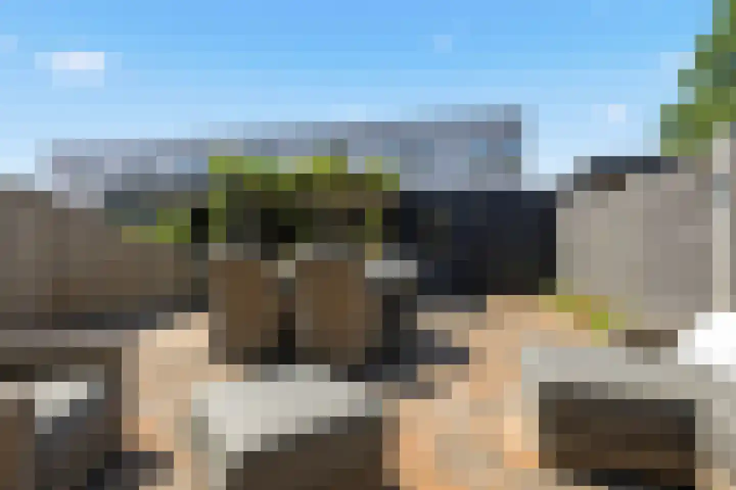 Tamis Weer 45 Assendelft thumbnail 15