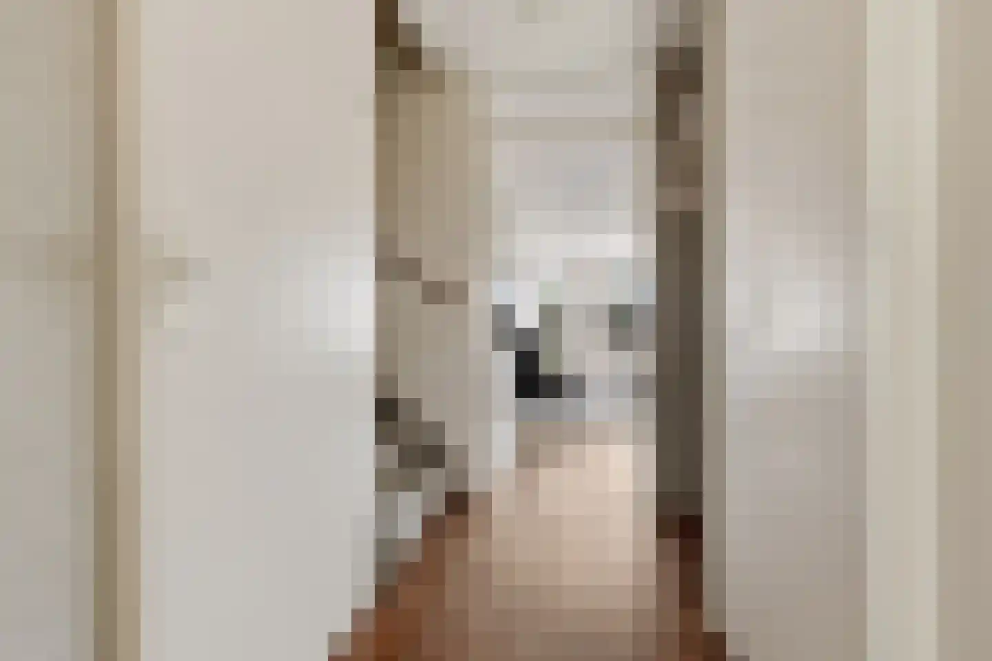 Tamis Weer 45 Assendelft thumbnail 24