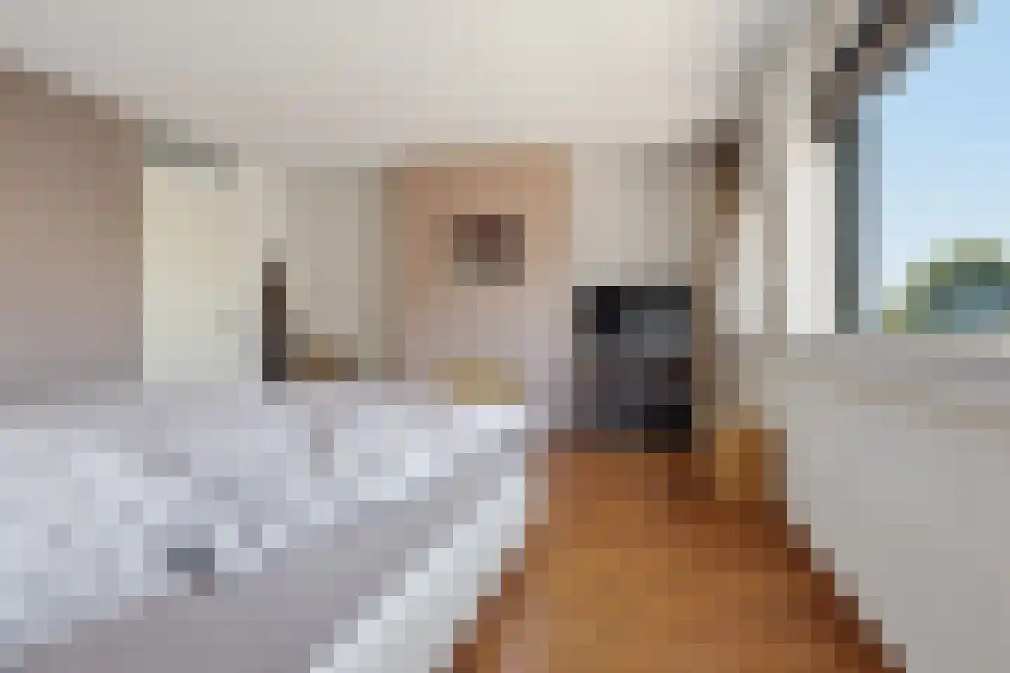 Tamis Weer 45 Assendelft thumbnail 29