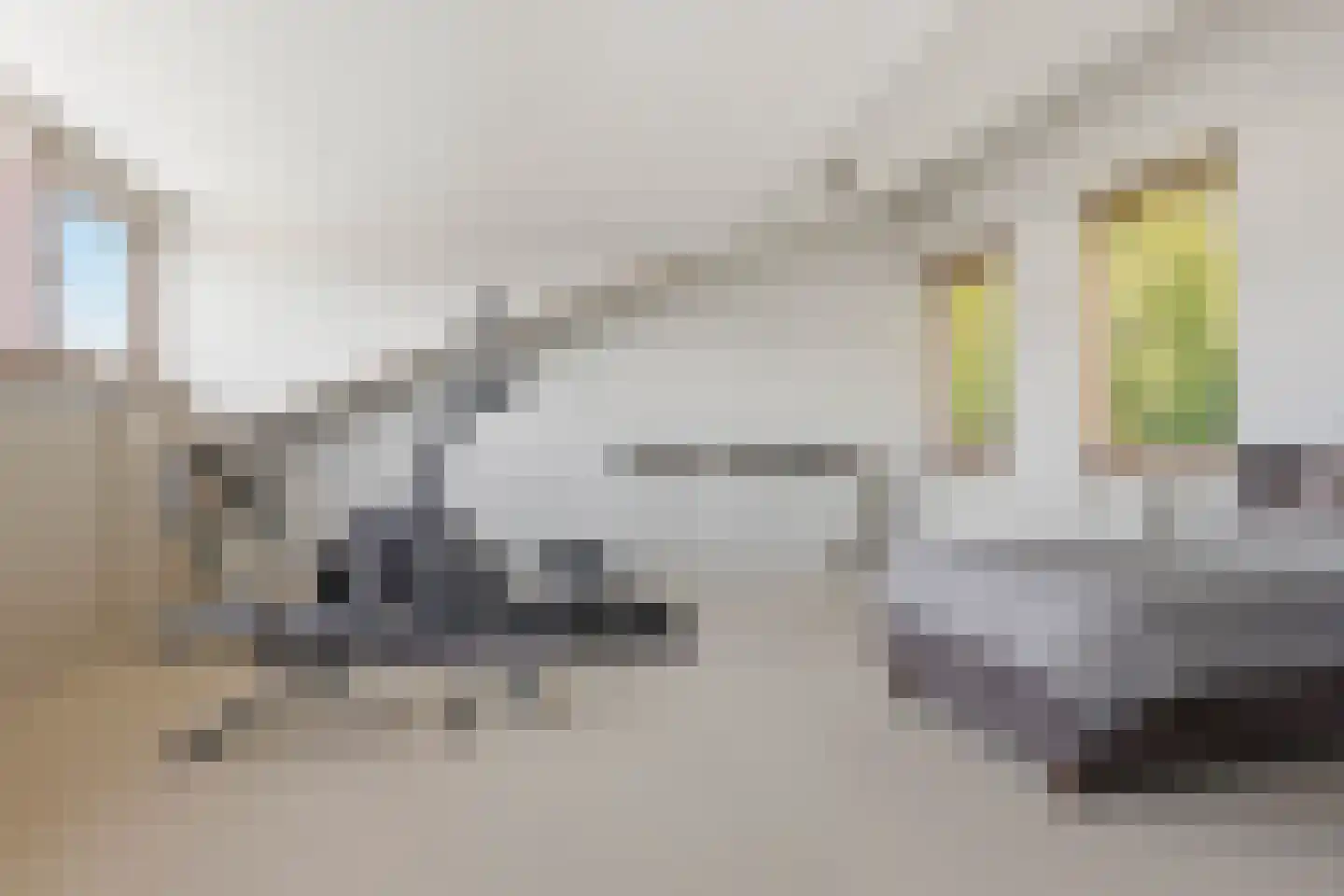 Tamis Weer 45 Assendelft thumbnail 38