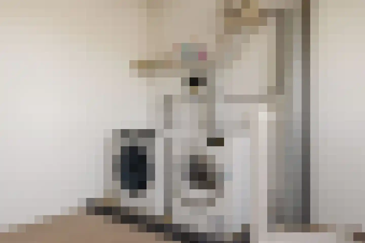 Tamis Weer 45 Assendelft thumbnail 42