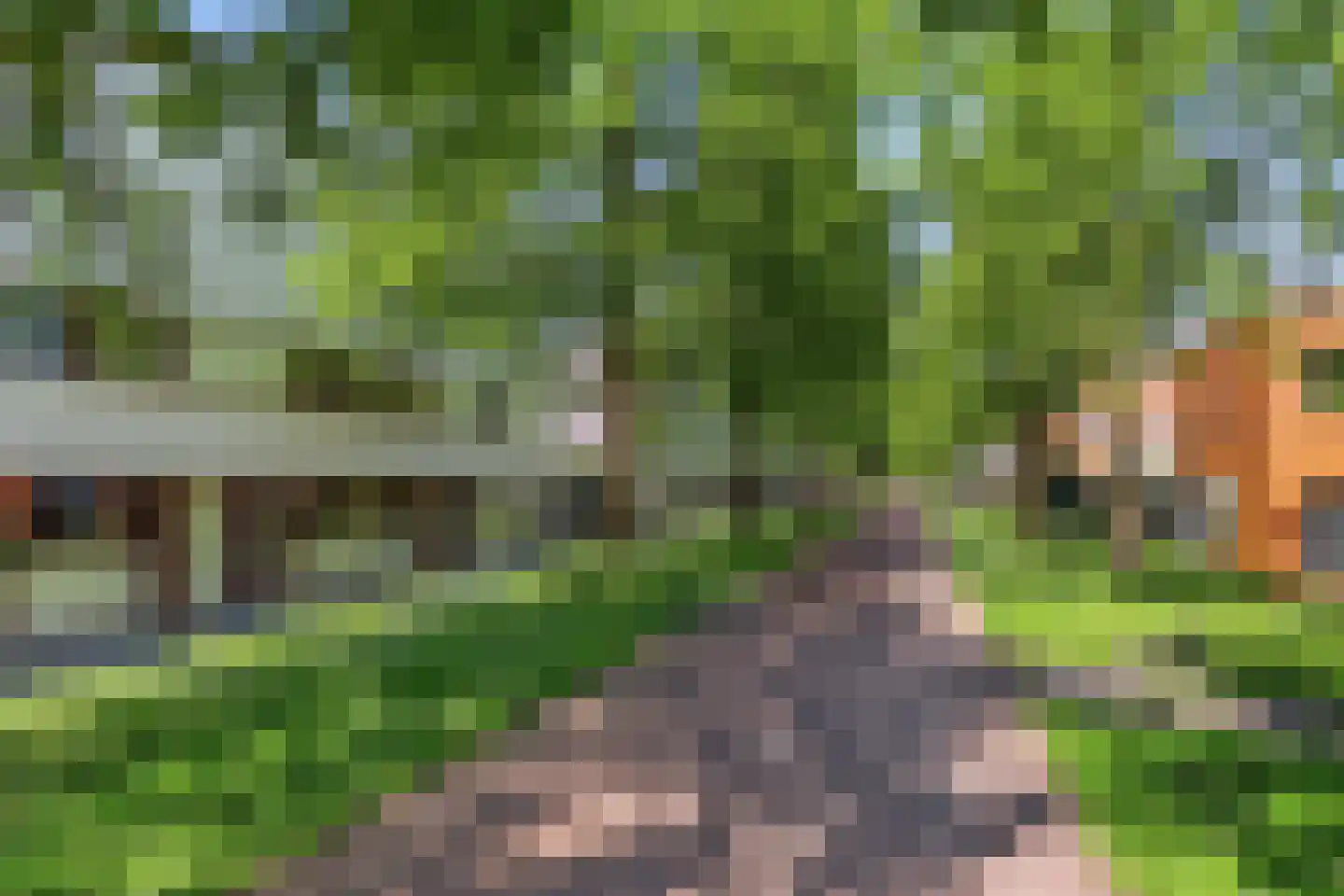 Tamis Weer 45 Assendelft thumbnail 43