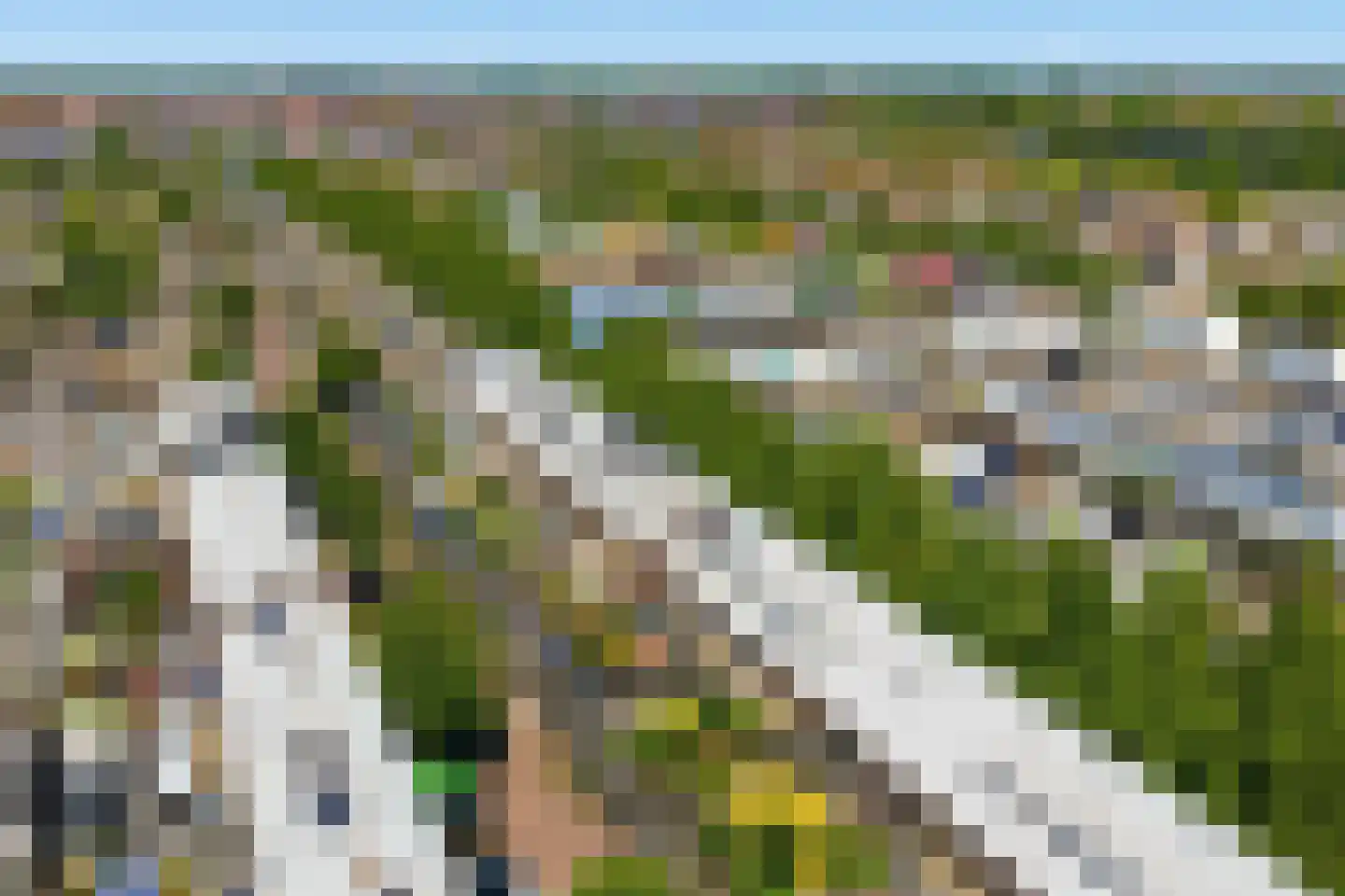 Tamis Weer 45 Assendelft thumbnail 44