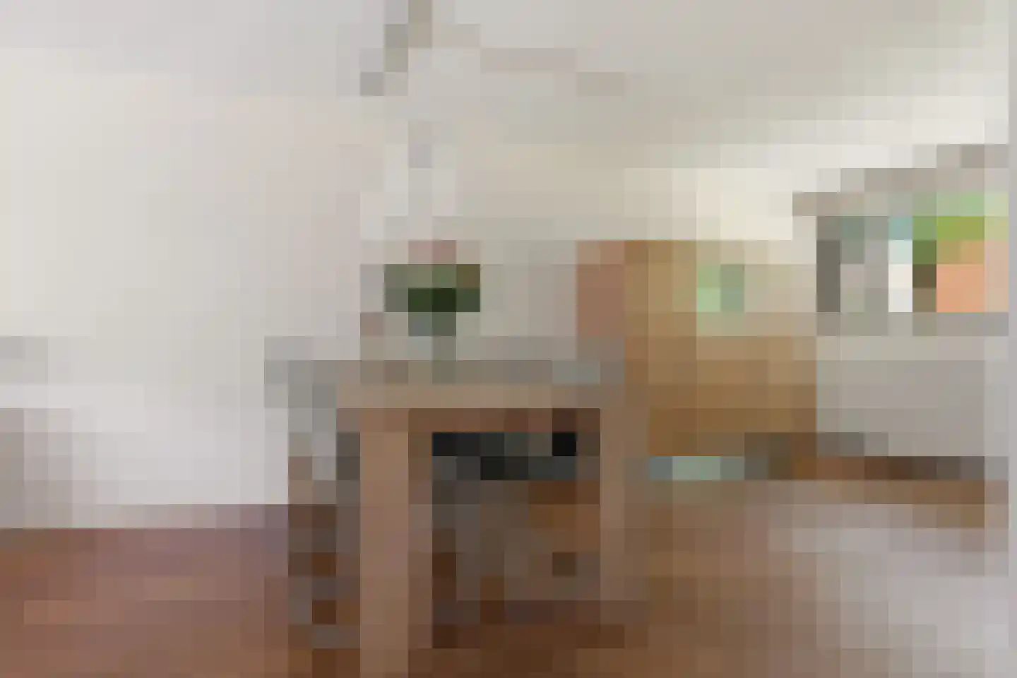 Tamis Weer 45 Assendelft thumbnail 8