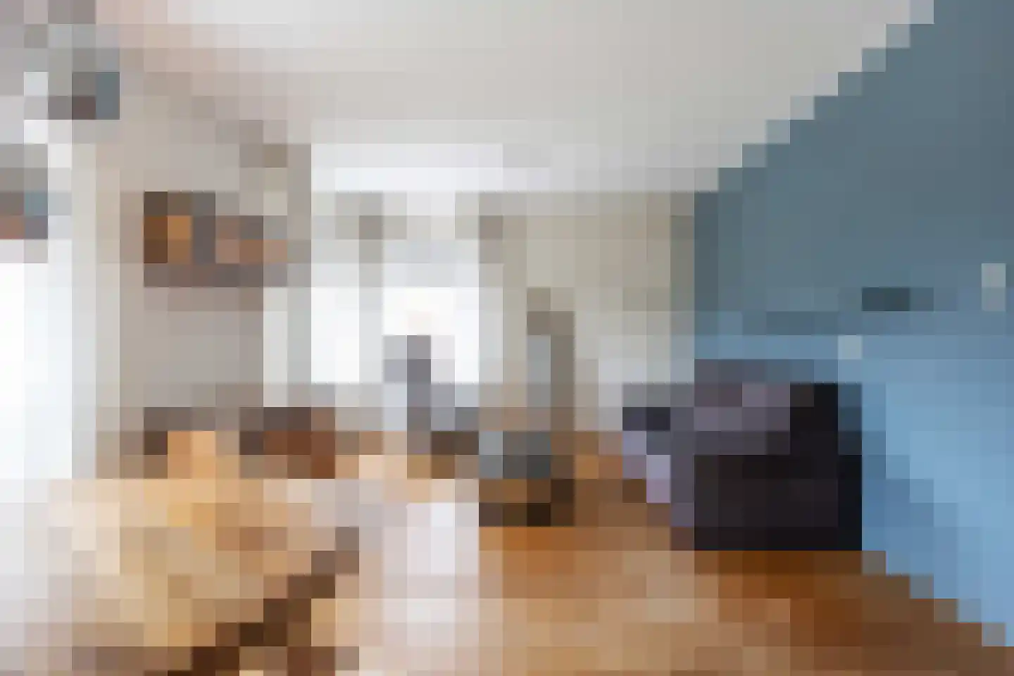 Tammenssingel 3 Leens thumbnail 11
