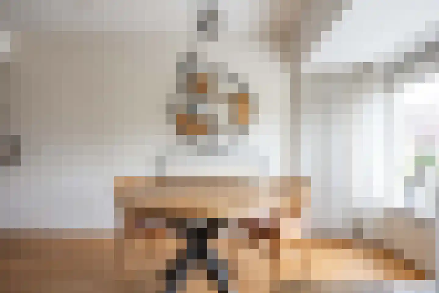 Tammenssingel 3 Leens thumbnail 12