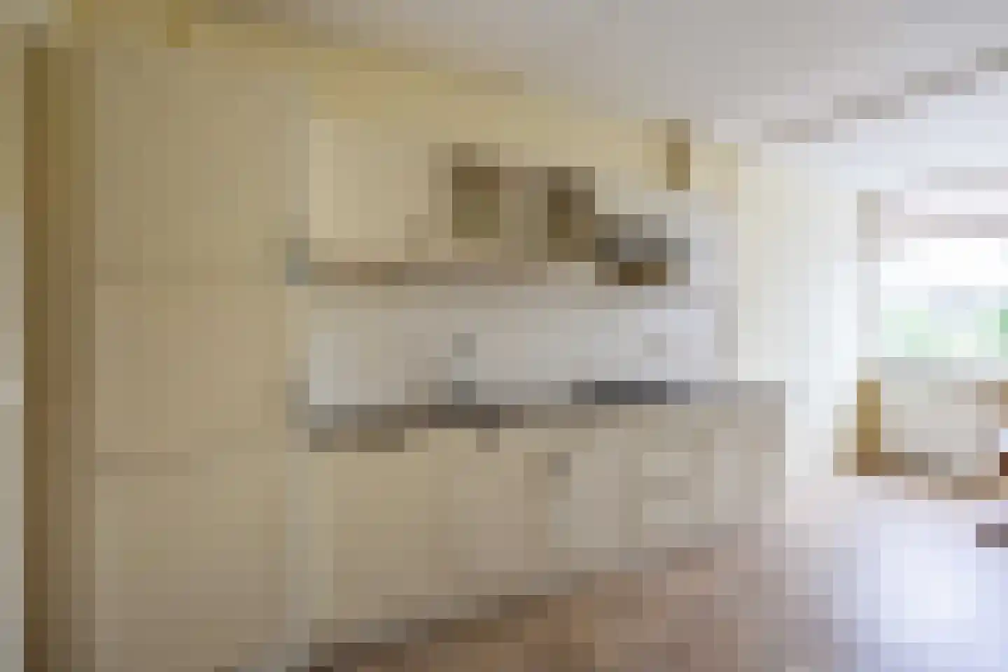 Tammenssingel 3 Leens thumbnail 15