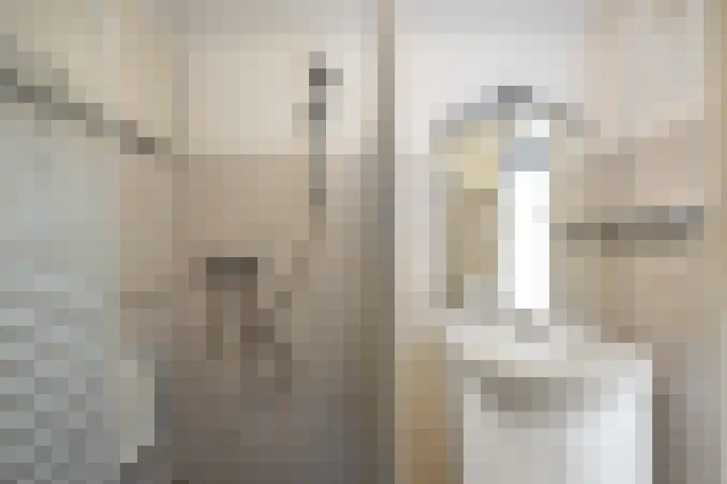 Tammenssingel 3 Leens thumbnail 26