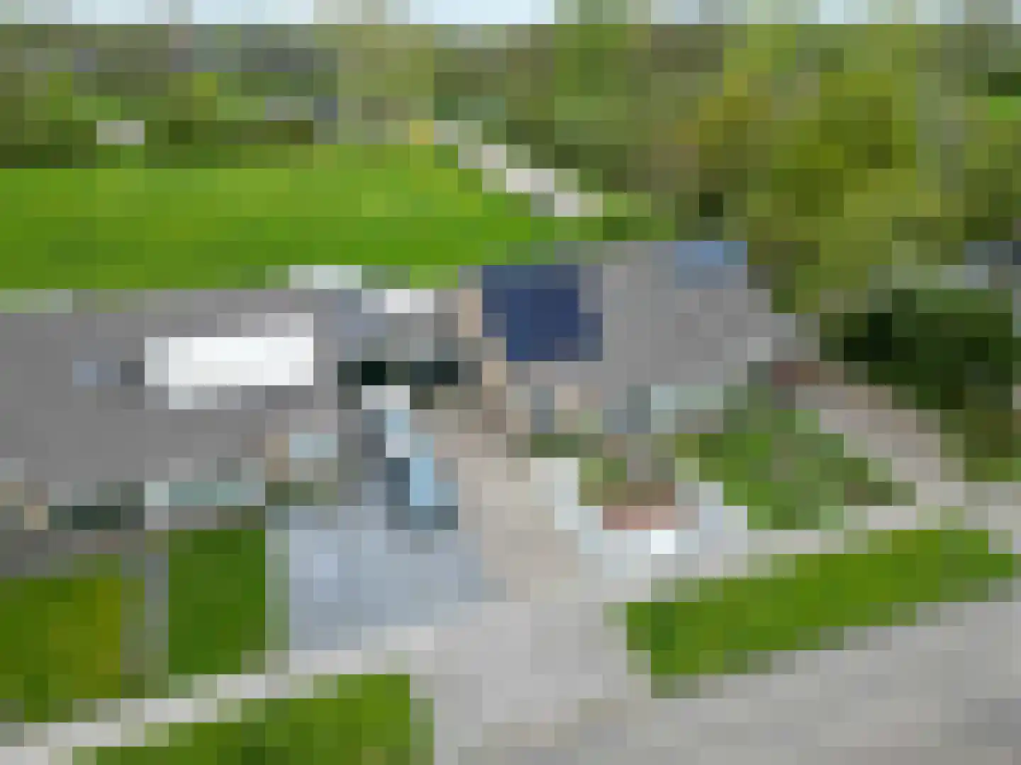 Tammenssingel 3 Leens thumbnail 4