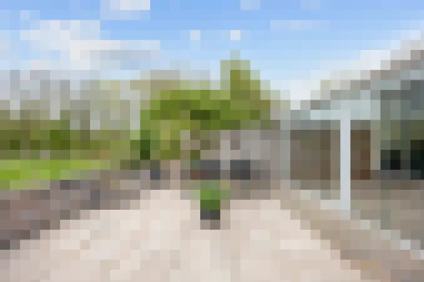 Tammenssingel 3 Leens thumbnail 60