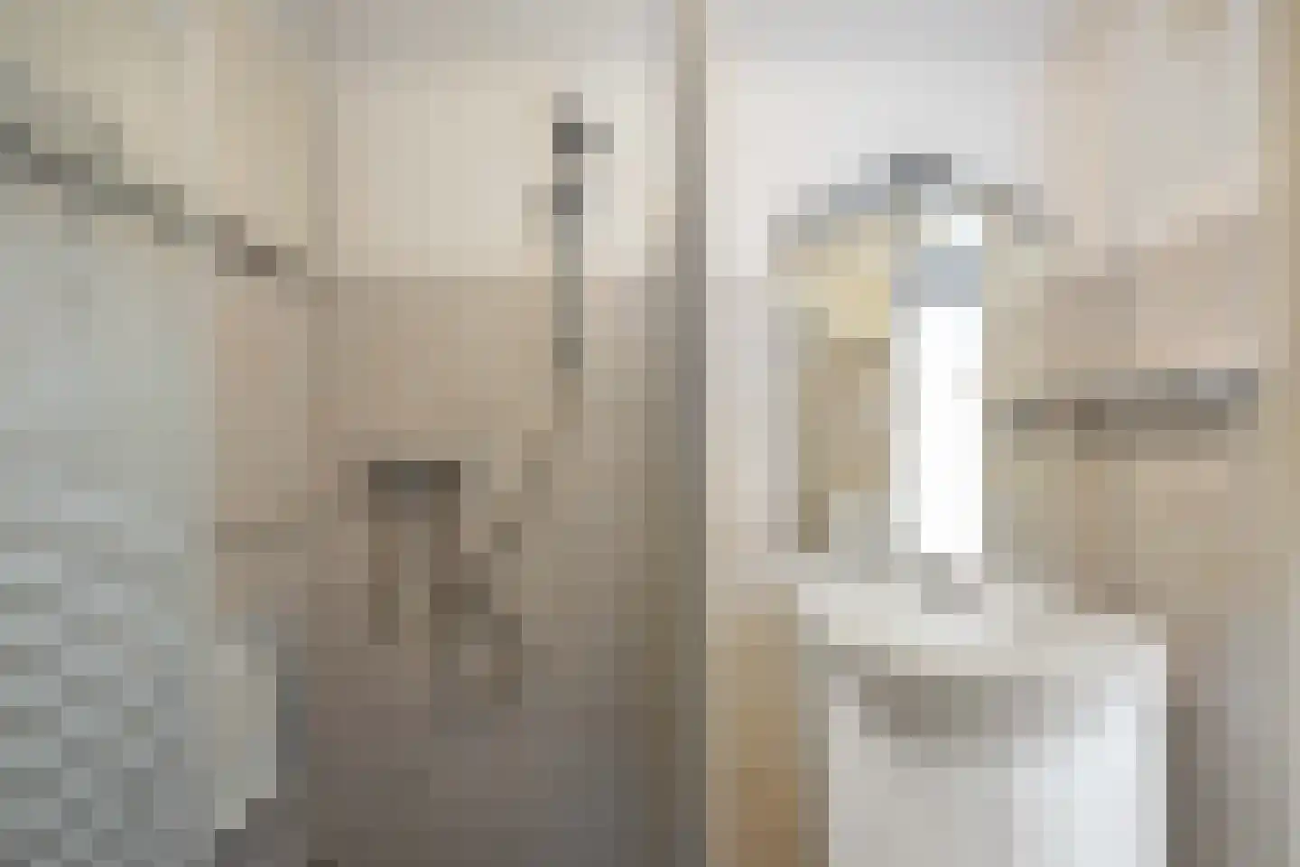 Tammenssingel 3 Leens thumbnail 86