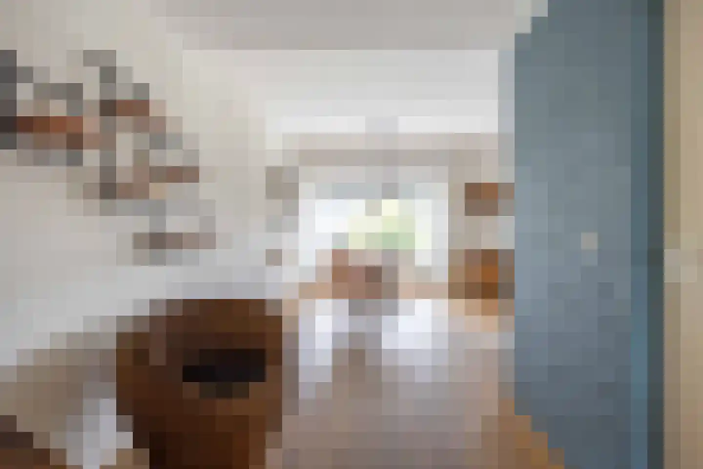 Tammenssingel 3 Leens thumbnail 9