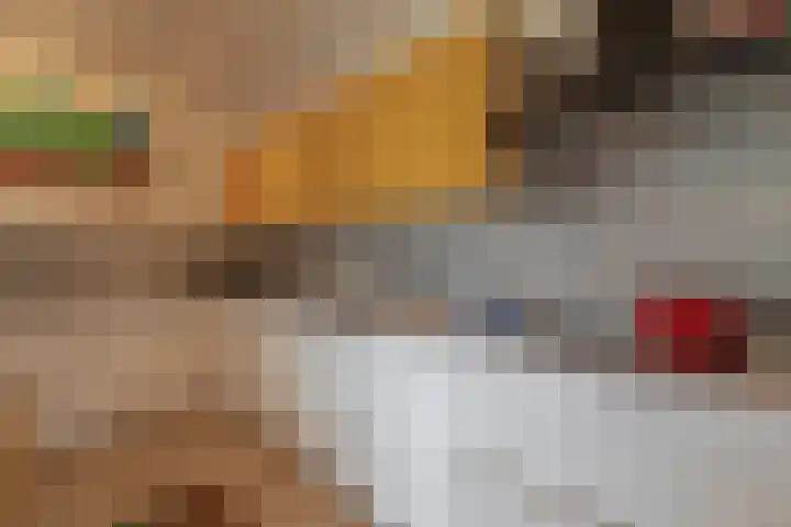 Tammingasingel 2 Winsum thumbnail 18