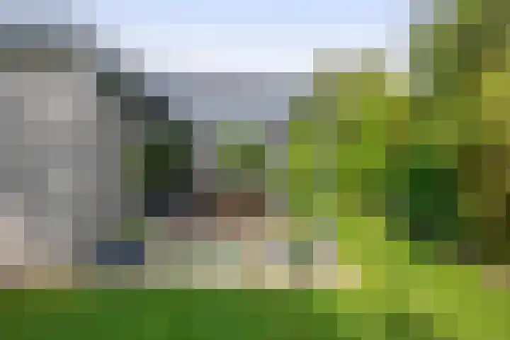 Tammingasingel 2 Winsum thumbnail 32