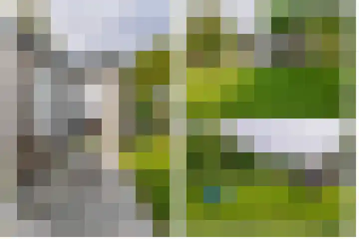 Tammingasingel 2 Winsum thumbnail 33