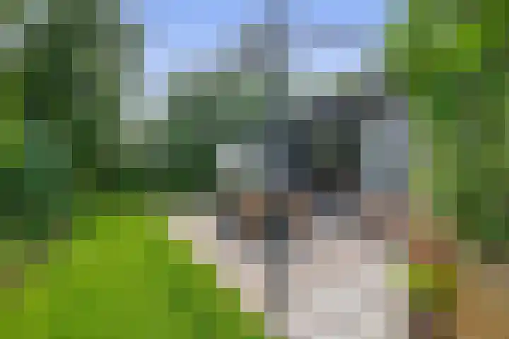 Tammingasingel 2 Winsum thumbnail 34
