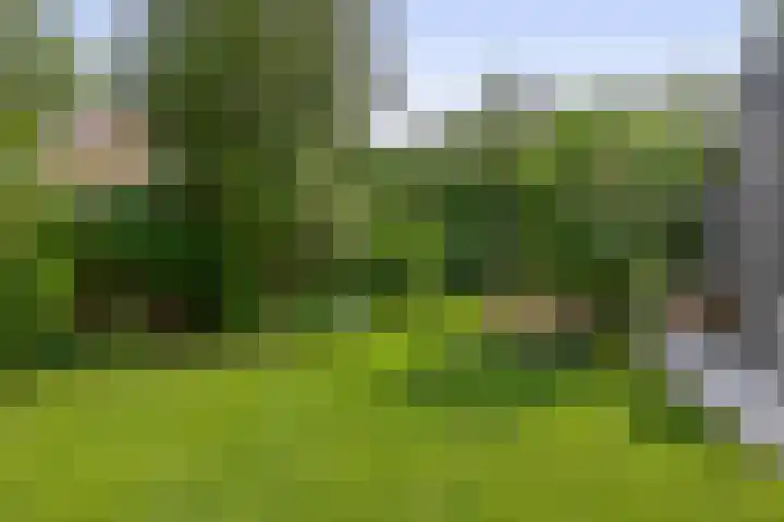Tammingasingel 2 Winsum thumbnail 36